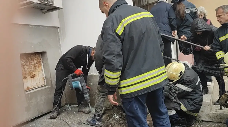 Строители зазидаха живо коте в стена в Бургас, спасиха животното след 9 дни